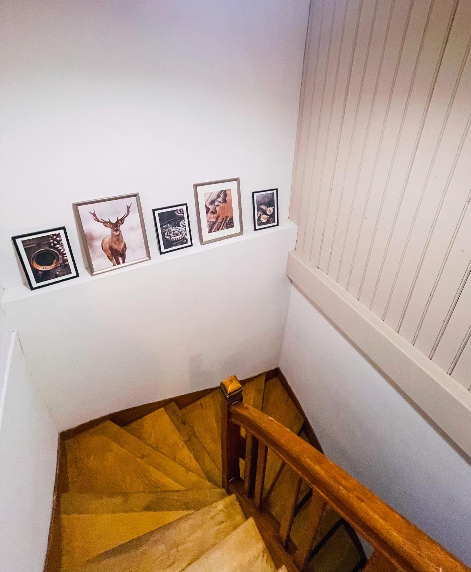 Gite La Petite Clairvalienne Clairvaux-les-Lacs Extérieur photo