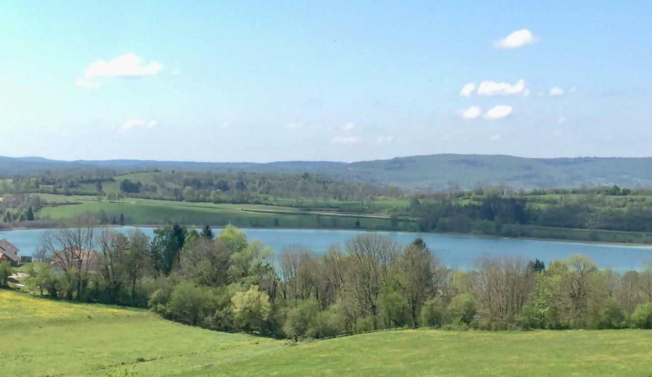 Gite La Petite Clairvalienne Clairvaux-les-Lacs Extérieur photo