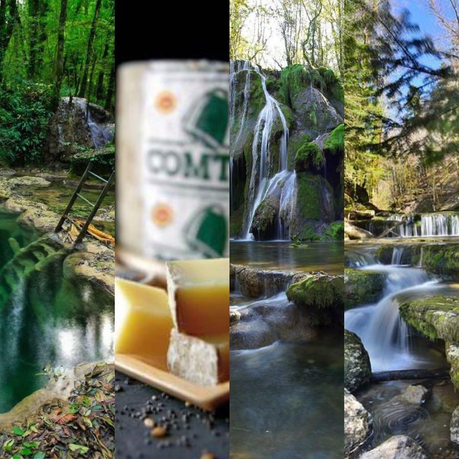 Gite La Petite Clairvalienne Clairvaux-les-Lacs Extérieur photo